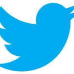 twitter-bird